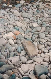 IMG-20250207-WA0018